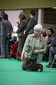 Crufts2011_2 1431